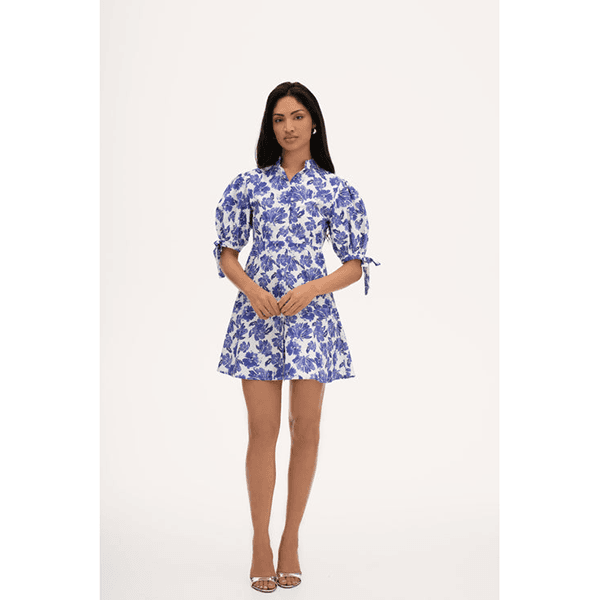 Mandibreeze Harmonia Dress Blue Print